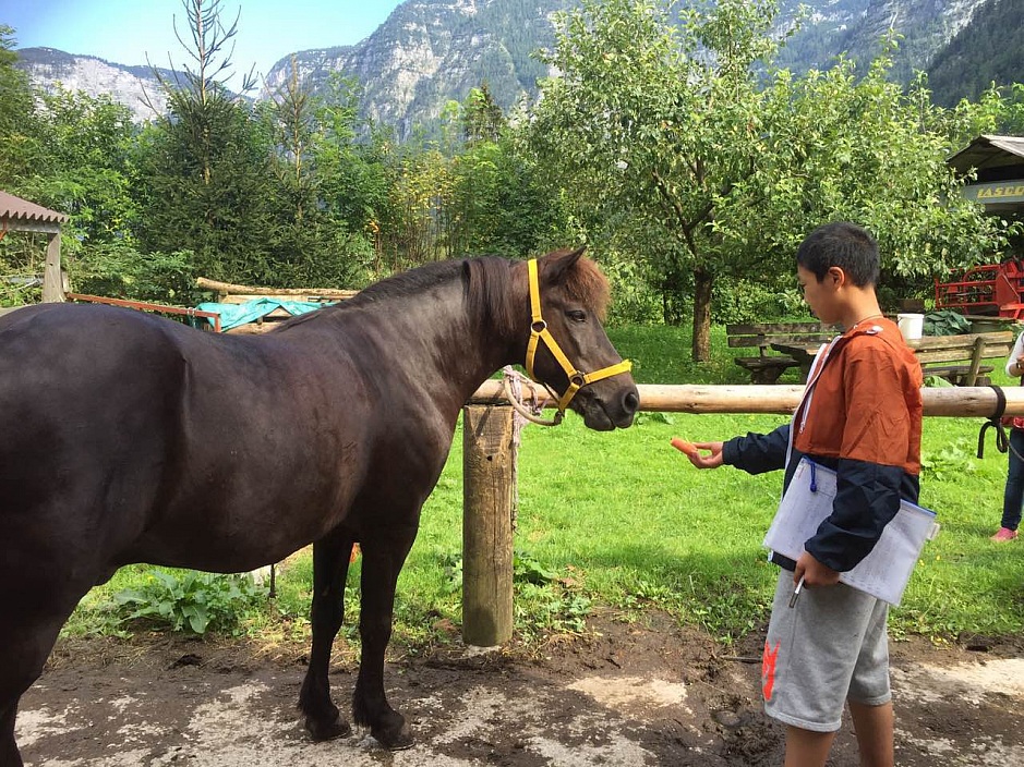 IMPRESSIONS FROM THE AME SUMMER CAMP "MUSIC, ART AND CULTURE"